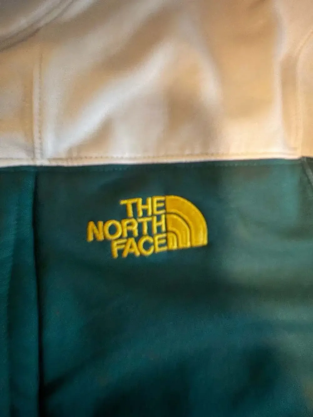 The North Face Apex Risor WindWall Softshell Jacket Green and Cream